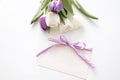 greeting card mockup. bouquet of purple tulips isolated on a white background. space for text. Royalty Free Stock Photo