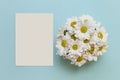 Greeting card mockup with daisies. Bright blue background with chamomile. Minimalism concept. Floral backdrop. Top view