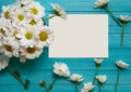 Greeting card mockup with daisies. Bright blue wooden background with chamomile. Minimalism concept. Floral backdrop. Top view.