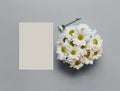 Greeting card mockup with daisies. Gray trendy background with chamomile. Minimalism concept. Perfect for presentations, decor and