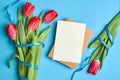 Greeting card mockup with envelope and red tulips flowers with ribbon on blue paper background Royalty Free Stock Photo