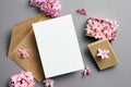 Greeting card mockup with envelope and spring hyacinth flowers on grey background Royalty Free Stock Photo