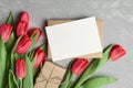 Greeting card mockup with red tulips, goft box and craft envelope on grey concrete background Royalty Free Stock Photo