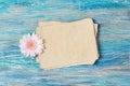 Greeting card with old blank paper and pink Gerbera daisy flower on blue wooden background Royalty Free Stock Photo