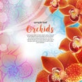 Greeting card with orchids flowers Royalty Free Stock Photo