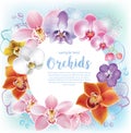 Greeting card with orchids flowers Royalty Free Stock Photo