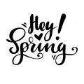 Greeting card with phrase: Hey spring. Vector isolated illustration: brush calligraphy, hand lettering. Inspirational