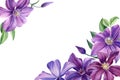 Greeting card with place for text, purple flower on white background. Clematis watercolor Royalty Free Stock Photo