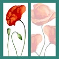 Greeting card poppies