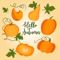 Greeting card and set Hello autumn. Cartoon autumn pumpkins set. Various shapes and sizes of orange pumpkin are isolated