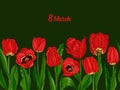 Greeting card with Spring flower bouquet of tulips in red and green colors on white background. Line engraving drawing Royalty Free Stock Photo