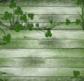 Greeting Card St. Patrick on old wooden background Royalty Free Stock Photo