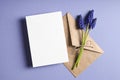 Greeting card stationary mockup with envelope and spring blue muscari flowers Royalty Free Stock Photo