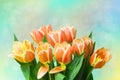 Greeting card template. Closeup of a fresh beautiful red yellow tulips bouquet over abstract blurred pastel background. Space. Royalty Free Stock Photo