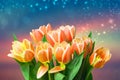 Greeting card template. Closeup of a fresh beautiful red yellow tulips bouquet over abstract blurred stars background. Space. Royalty Free Stock Photo