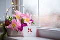 Greeting card and tender bouquet of beautiful pink tulips in white basket near window with raindrops in the daylight Royalty Free Stock Photo