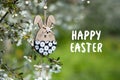 Greeting card with text Happy Easter in English. Decorative Easter bunny toy on background of blooming spring garden Royalty Free Stock Photo