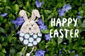 Greeting card with text Happy Easter in English. Decorative Easter bunny toy on background of blooming Vinca Royalty Free Stock Photo