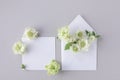 Greeting card trendy mockup or invitation template with blank paper sheet and envelope decorated fresh flowers, flat lay Royalty Free Stock Photo