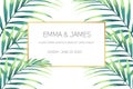 Greeting card with tropical jungle palm tree leaves on white background. Card for wedding, birthday and other holiday. Royalty Free Stock Photo