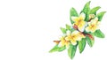 Greeting card of tropical resort flowers frangipani plumeria.