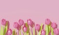 Greeting card tulip with green leaf on pink background. 3d rendering