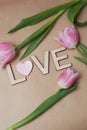 Greeting card for Valentine`s Day or birthday. Pink Tulips and Wooden Letters with inscription LOVE on Pink background Royalty Free Stock Photo