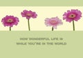 Greeting card with pink gerbera flowers and text - How wonderful life is while you\'re in the world - Elton John