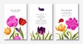 Spring trendy greeting or invitation design template with tulip and peony flowers Royalty Free Stock Photo