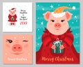 Greeting cards Merry Christmas and New Year 2019, Cute Piggy, Funny pink pig. Set of greeting cards, Vector illustration Royalty Free Stock Photo