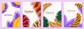 Greeting cards. Posters and invitations with realistic 3D feathers, swan and goose colored plumage. Templates exotic Royalty Free Stock Photo