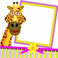 Greeting cards single giraffe