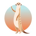 Greeting cartoon meerkat Royalty Free Stock Photo