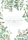 Greeting festive flyer, holiday card, vector. Elegant floral, greenery, asymmetric collection. Bouquet of eucalyptus spiral,