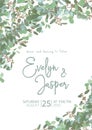 Greeting festive flyer, holiday card, vector. Elegant floral, greenery, semicircle collection. Bouquet of eucalyptus spiral,