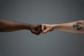 Racial tolerance. Respect social unity. African and caucasian hands gesturing isolated on gray studio background