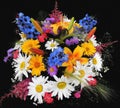 Greeting floral card with bouquet of  lily,chamomiles,blue cornflowers isolated on black backdrop Royalty Free Stock Photo