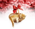 Greeting or gift card, ginger cat inside wicker basket with red Royalty Free Stock Photo