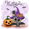 Cute Cartoon Bat with pumpkin Royalty Free Stock Photo