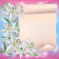 Greeting or invitation card with lily flower