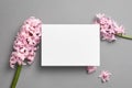 Greeting or invitation card mockup with pink hyacinth flowers Royalty Free Stock Photo