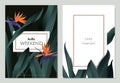 Greeting/invitation card template design, Bird of paradise flowers with leaves on black and white with frame Royalty Free Stock Photo