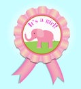 Greeting satin medal for baby girl. Baby Shower  illustration Royalty Free Stock Photo