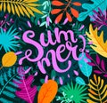 Greeting summer 2019 lettering on tropical leaves.