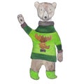 Greeting teddy bear in a green knitted terry sweater with a deer