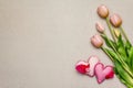 Greetings card, wallpaper, backdrop. Mothers Day, St.Valentines or Wedding. Gentle pink tulips, handmade felt hearts Royalty Free Stock Photo