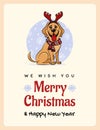 Greetings card We wish You a Marry Christmas and Happy New Year, funny Labrador
