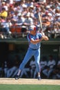 Greg Nettles Montreal Expos