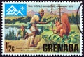 GRENADA - CIRCA 1975: A stamp printed in Grenada issued for the 14th World Scout Jamboree, Norway shows wildlife study