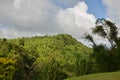 Grenada landscape caribbean Green Island Jungle nature